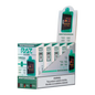 RAZ 25000 Wintergreen 5-pack